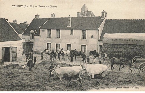 Vaudoy mk45403 fattoria - vaudoy, di