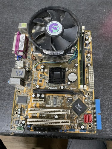 Scheda madre asus - scheda,