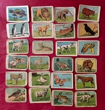 Lotto 24 Figurine Animali
