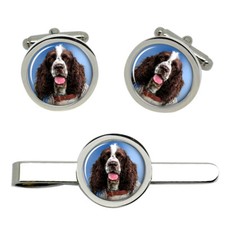 Inglese Springer Spaniel