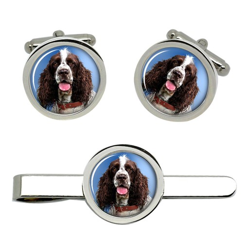 Inglese springer spaniel - springer,