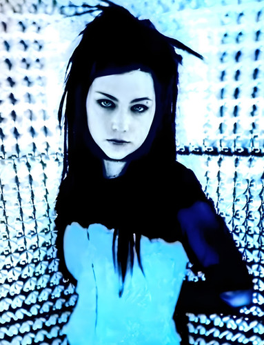 Poster 11x14 evanescence band - evanescence,