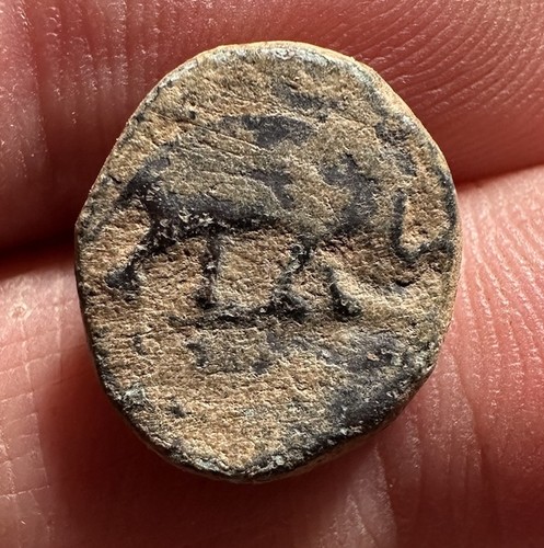 Moneta antica greca romana - greca,