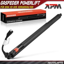 1 molla a gas Powerlift