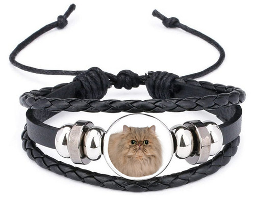 Persian cat pet black leather - cat,