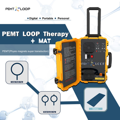 Sistema magnetoterapia pmst - sistema,