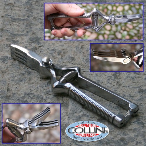 Robur masticatore per - -,
