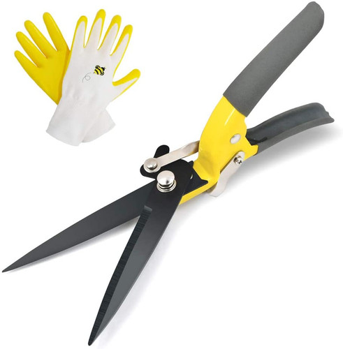 Cesoie per erba affilate - erba,