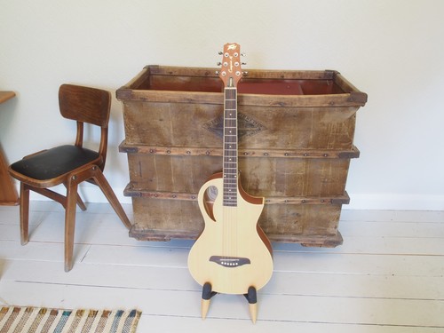 Chitarra acustica peavy - chitarra,