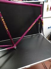Telaio Bici Da Corsa Rauler