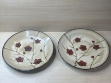 Pfaltzgraff Studio Aster Set