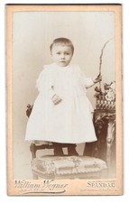 Fotografia William Wegner