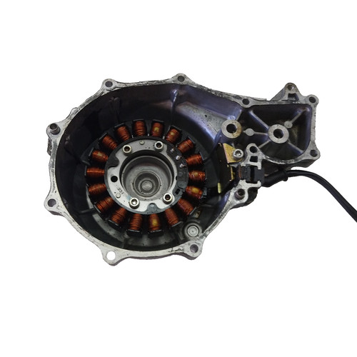 Carter statore campo magnetico - carter+statore,