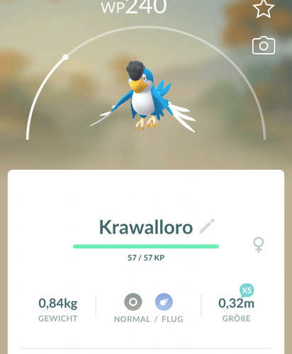 Pokemon krawalloro blu - 👻pokemon,