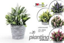 PIANTA PIANTINA FINTA  CON