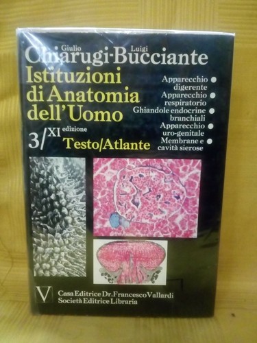 Chiarugi bucciante xi - chiarugi,