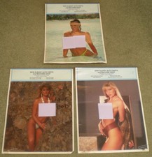 Nuovo calendario Albany