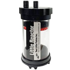 Two Little Fishies Little