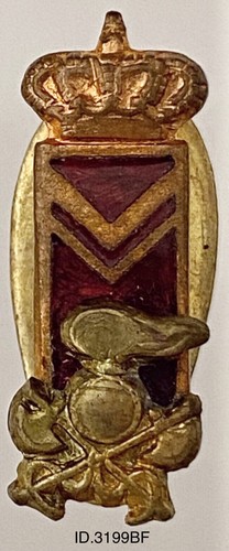 Regio esercito genio - esercito,