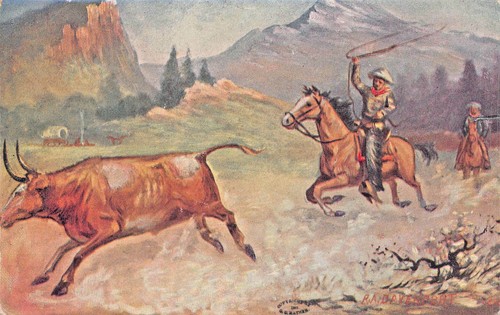 Western cowboy con lazo - western,
