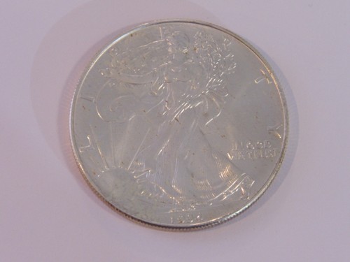 Usa dollaro 1 oncia - 1,