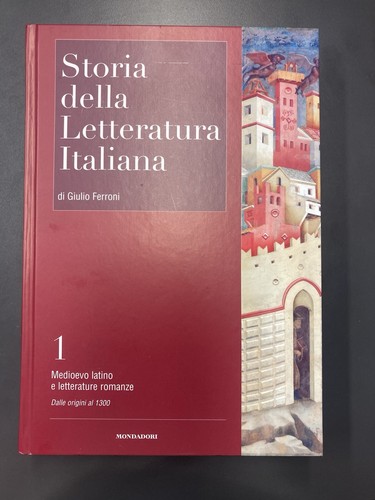 Libro storia della letteratura - libro,