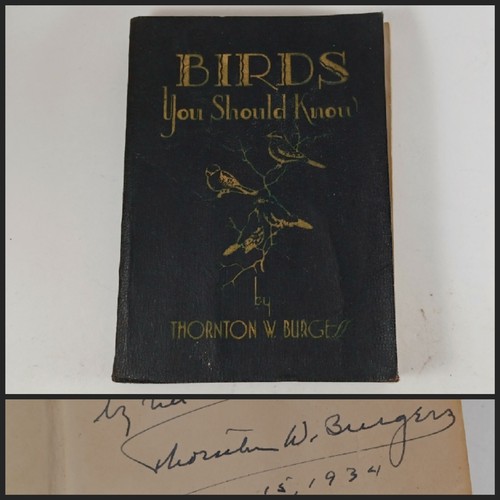 1933 rare birds - 1933, you