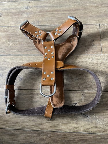 Imbracatura per cani pelle - imbracatura,