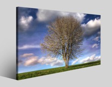 Quadri tramonti e paesaggi