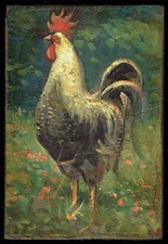 Rooster chicken coop painted