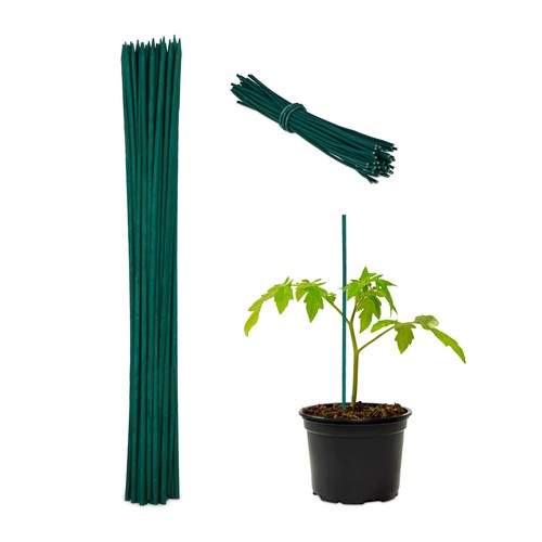 300 canne bambù - 30, cm