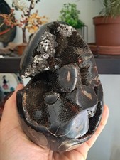 Septaria - 1,62 kg .