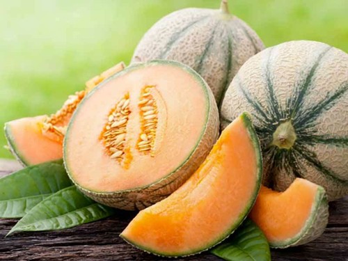 Semi sementi melone retinato - semi,