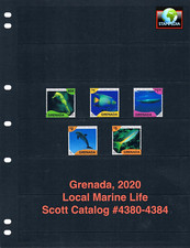 Valore scott 2020 - valore,