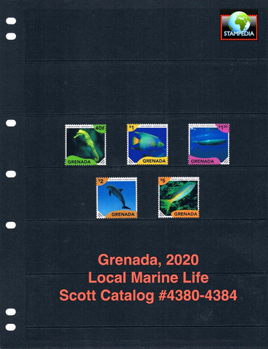 Valore scott 2020 - -,