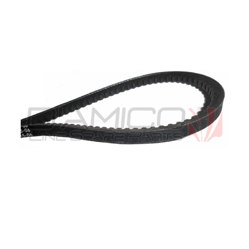 Cinghia alternatore per