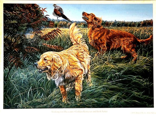 Arte del cane - , sportiva