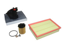 Kit Revisione 1.6 Diesel Ford