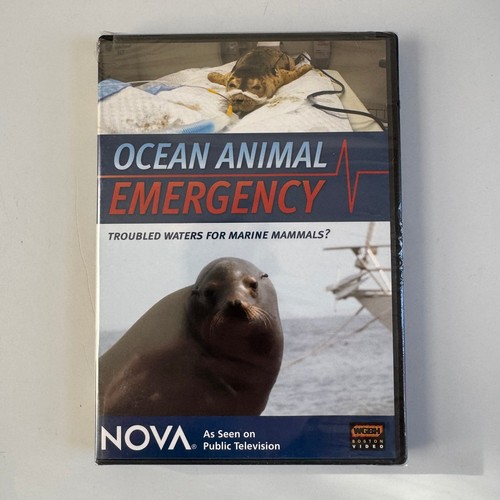 Ocean animal emergency - animal,