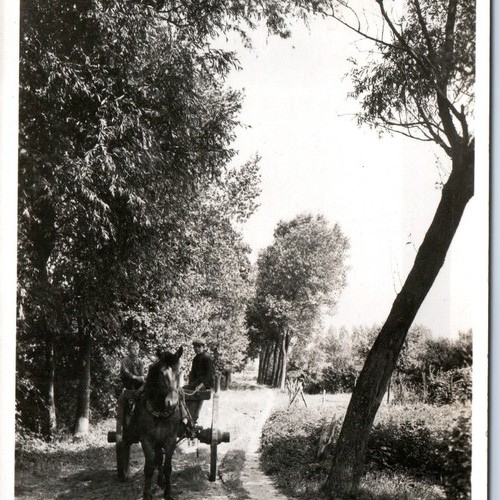 C1930s brabante settentrionale - c1930s,