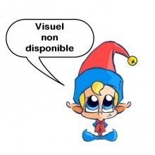 Faisceau (A) Ducati Monster