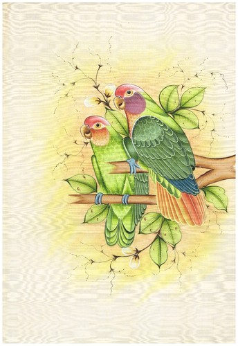 Pappagallo uccelli pittura - pappagallo,