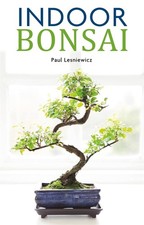 Indoor bonsai