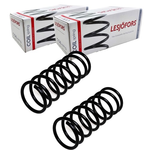 Lesjöfors molle - 2x,