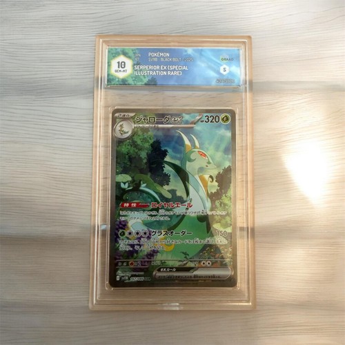 Carta pokemon - carta,