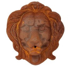 Testa di leone decorazione