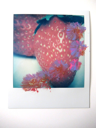 Araki polaroid originale - n.,