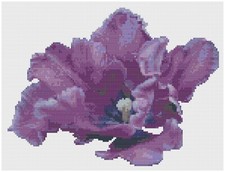 Schema Di Punto Croce Di