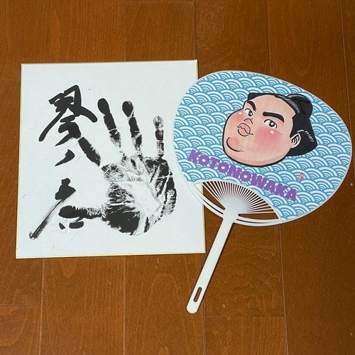 Sumo wrestler kotonowaka - sumo,