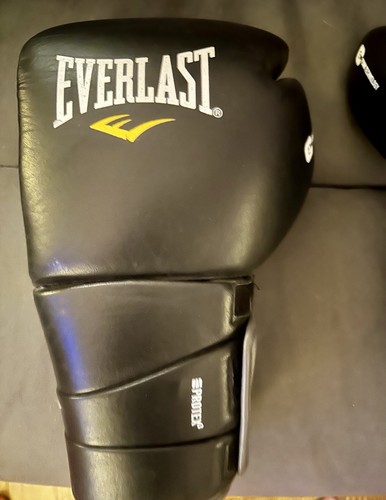 Guantoni boxe everlast - da,
